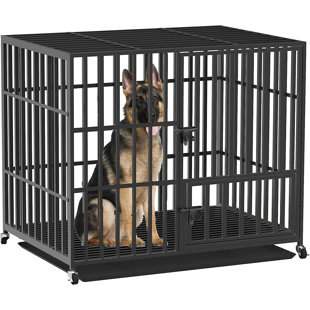 Lightweight metal shop dog crate